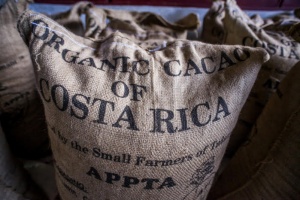APPTA Cacao sack