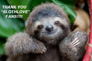Monster´s WiSH LAB: Pure Vida Guide supports The Sloth Institute in Costa Rica