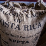 appta-cacao-sack